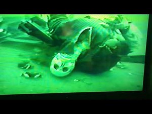 News Crash of TWA Flight 800 Dive Operations