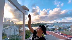 LIVESTREAM – Sunday April 5 🎺 🔥 5PM (AEST) 9AM (CEST) 12AM (PDT) 12:30PM (IST) | Timmy Trumpet