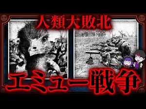人間と鳥が本気で戦争…人類最大の屈辱「エミュー戦争」