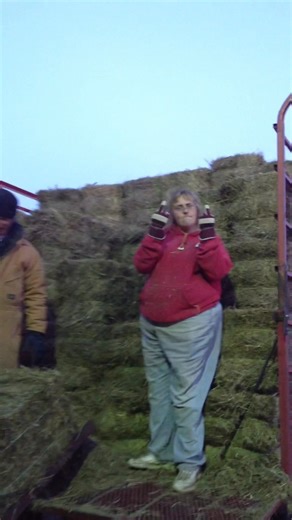 New Holland SUPER 77 Hay Baler rebaling Nasty Round Bales for mulch square bales. Some help doesn't have sense of humor. | Baler Man