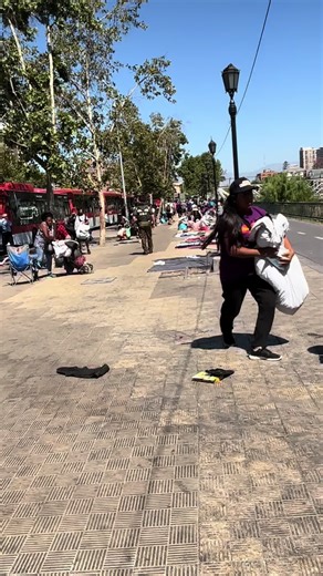 Explorando el Mapocho: Santiago y su Cultura