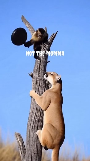 #nottodaysatan | Tyson Davis