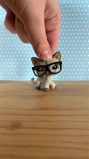 rebranding this account!! i’m lissa, im sixteen years old and you can find me on youtube as lissalps! #lps #littlestpetshop #viral #lissalps #lpshellhigh