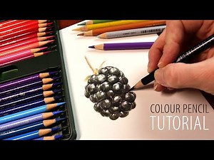 How to Draw a Blackberry with Color Pencils | Realistic Drawing Tutorial