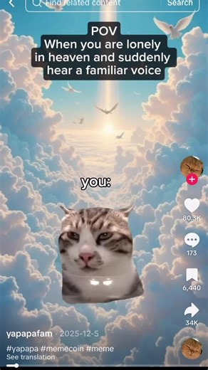 Yapapa: Funny and Cute Cat Videos