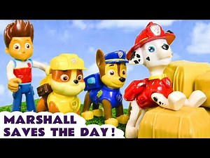 Can Marshall save the day for the other Paw Patrol pups?