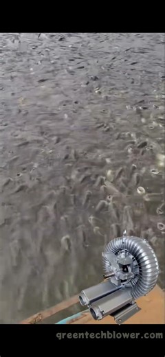 Revolutionizing Aeration: Vortex Blower-Draught Pump in ActionFull demo: See how our robust system