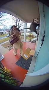 112K views · 367 reactions | Package theif gets a surprise | Kenyon W. | Facebook