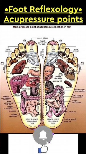 Acupressure Points in Hand and Foot#viralshort