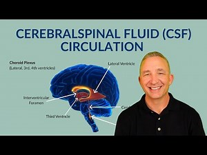 Cerebrospinal Fluid Flow: How CSF Circulates through the Brain and Spinal Cord (Nervous System)