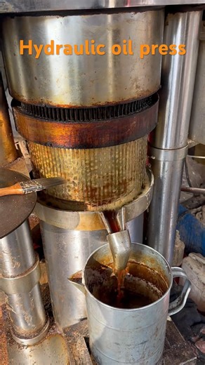 Hydraulic oil press #machine #factoryproducts #automobile #foryou #oil #oilextraction #howtomakeoil