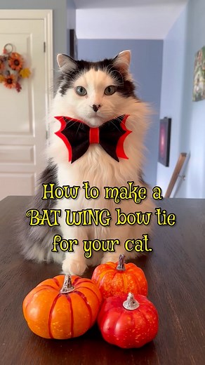 These little DIY Bat Wing bow ties are not only festive, but they're also super easy to make (and they look amazing)! 🦇🎃 | The Oreo Cat