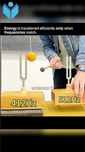 🤯 This Box Starts Vibrating Without Being Touched! | The Power of Resonance 🔊🚀