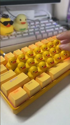 ASMR duck keyboard quacking #QUACKboard #Duck Keyboard