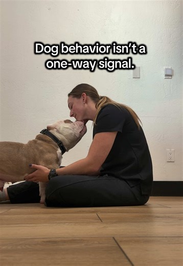 Understanding the Dog Behavior Nervous System Loop