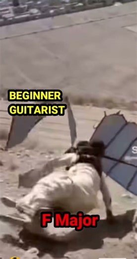 Every Beginner Guitarist #explore #guitar #music #musica #shorts