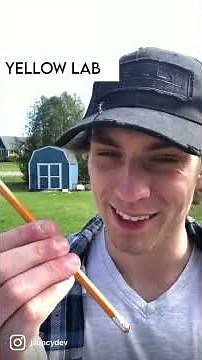 If Dog Breeds Were People PT 3