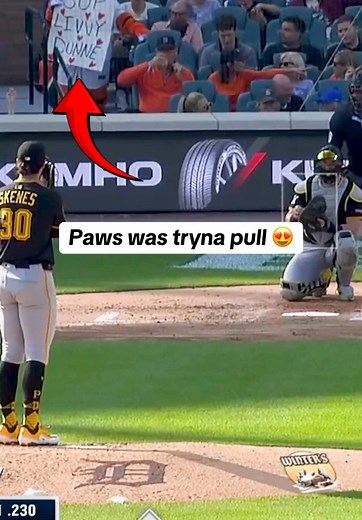 Pittsburgh Pirates vs. Detroit Tigers: Baseball Highlights
