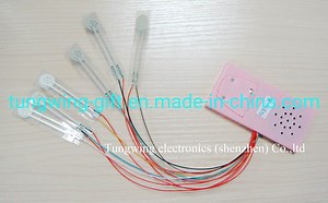 [Hot Item] Membrane Switch Sound Module for Child Book