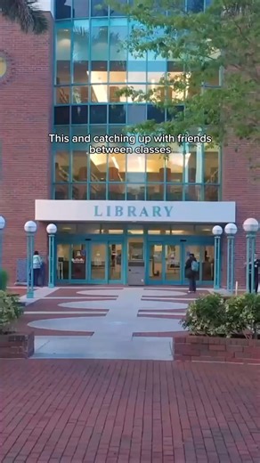 Just college life things. ✨ #BCProud #StudentLife #CampusVibes | Broward College