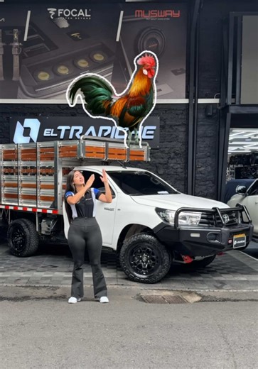 Hilux Estacas: Preparada para el Trabajo Pesado