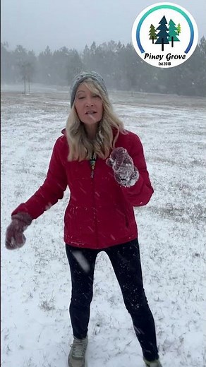 HISTORIC Snow Storm in Florida - January 21, 2025 #snow #florida