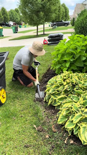 Creating a Perfect Edge in Landscaping