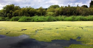 AOM Lab | Engineering – UNSW Sydney