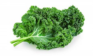 Can Dogs Eat Kale? Is It Healthy or Toxic?