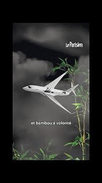 Zoo de Beauval : les deux pandas géants stars repartent en Chine