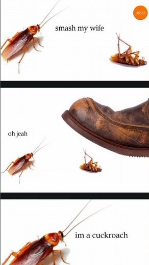 Cockroach Memes #1