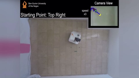 Scientists Experiment Discovered Goldfish Can Drive