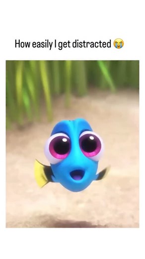 yOurbae.somu ♡ | This scene was so cute cut🥺♥️ Movie: Finding Dory (2016) is the heartwarming and hilarious sequel to Finding Nemo (2003), created by... | Instagram