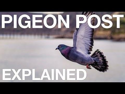 Pigeon Post - Explained