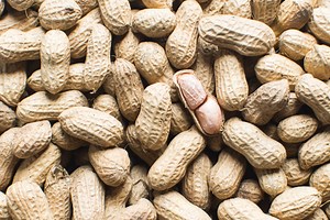 Biomasse : des « pellets » de cacahouète pour produire de l’électricité et remplacer les combustibles fossiles