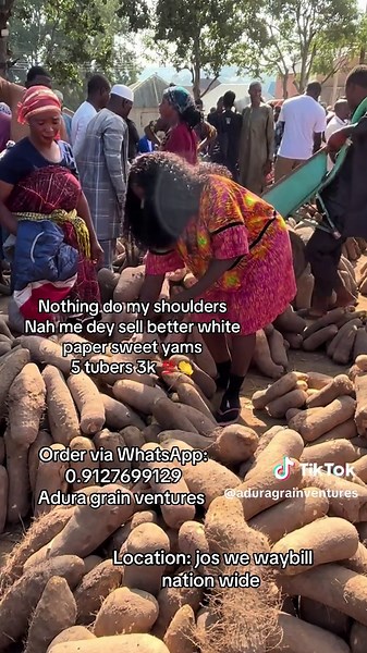 Delicious White Paper Yams for Pounded Yam Lovers