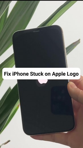 iPhone Stuck on Apple Logo While Updating? Here's How to Fix It!