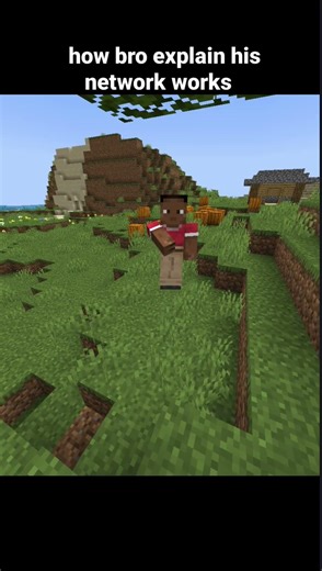 How Bro explain network works #shorts #minecraft #gaming #memes #minecraftmemes