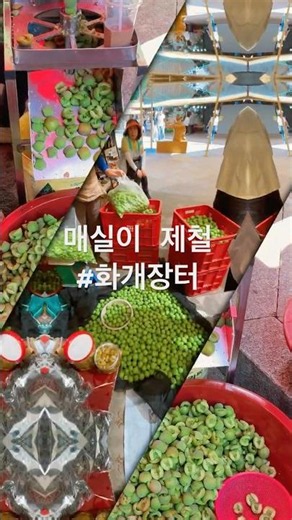 제철 맞은 화개장터 매실 근황 (씨 빼기 달인 등장 장터 투어)