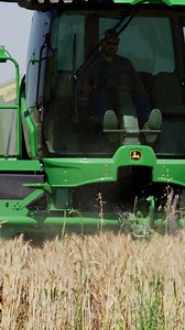 Performance, precision and productivity 💪 ⚙️ John Deere W260R Windrower #21stCenturyEquipment #JohnDeere #Windrower | 21st Century Equipment