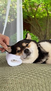 82K views · 1.2K reactions | ASMR | Manyu’s Immersive Spa | Feel the Sounds of Nature - Part 2 Check out the same products MANYU uses, now AVAILABLE on Manyuland via link in Bio! #littlemanyu #是曼玉不是鳗鱼 #asmr | 是曼玉不是鳗鱼 Littlemanyu | Facebook