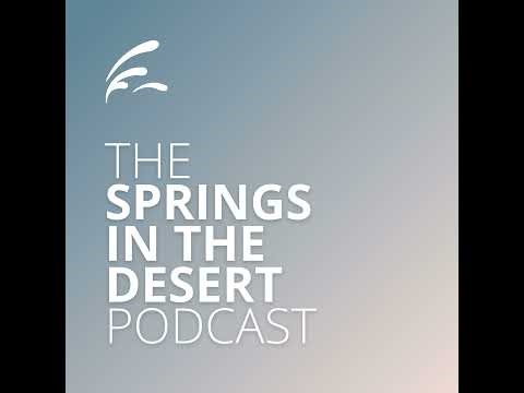 How God is Working Through Springs Small Groups