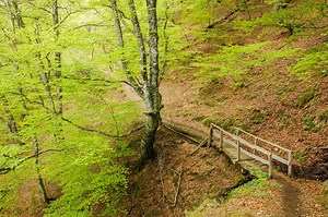356K views · 13K reactions | ¡Este #PuentedeDiciembre disfruta de los paisajes más espectaculares de #Asturias! | Turismo Asturias | Facebook