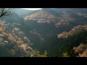 世界遺産 日本の世界遺産 Japan World Heritage HD 3/3