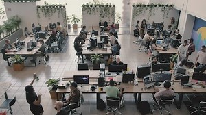 Free Job Videos: 4K & HD | No Watermark | Download Now