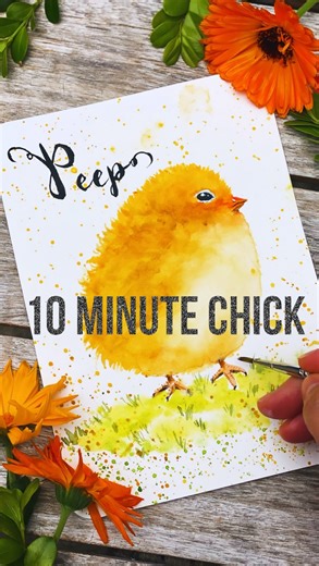 34K views · 706 reactions | What sound does a chick  make? full...