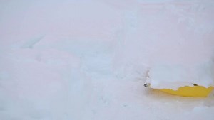 「雪かき」の写真素材 | 67,537件の無料イラスト画像