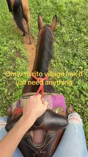 Omw to Rito Village — Funny Zelda BotW/TOTK Moment
