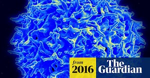 Have scientists found the cure for cancer? – video explainer