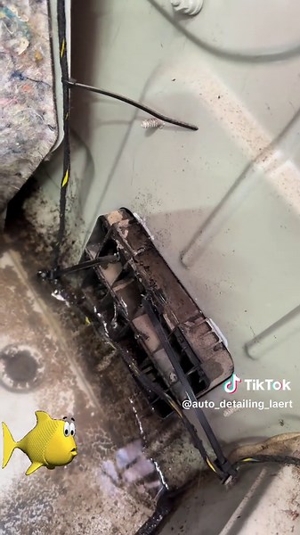 Auto detailing Laert (@auto_detailing_laert)’s videos with オリジナル楽曲 - 月 tsuki